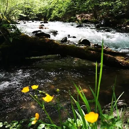 Le Nid De Laly Alpehytte *