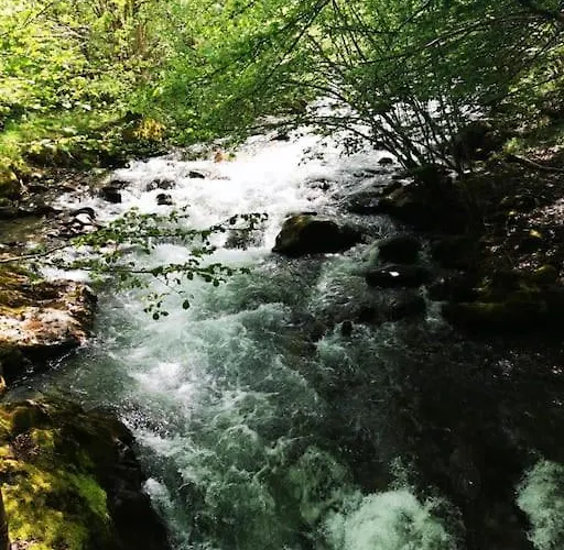 Le Nid De Laly * Ustou